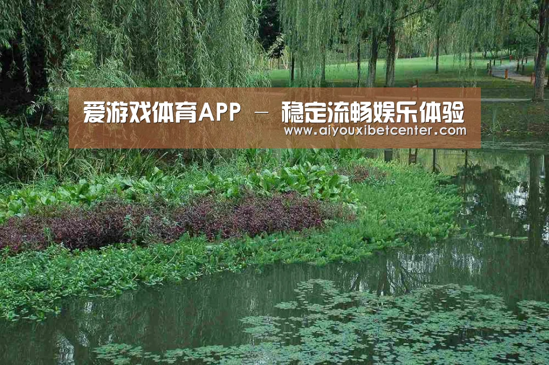 案例展示一(图1)