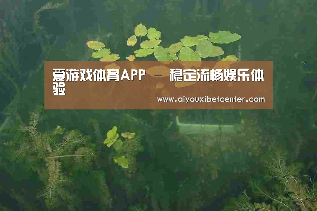 案例展示三