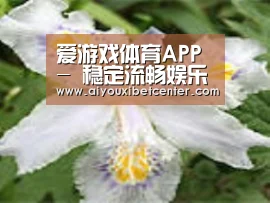 产品名称二