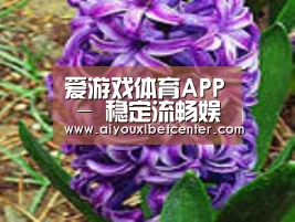 产品名称八