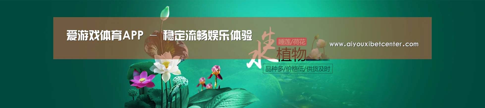 鲜花水草花卉网站模板
