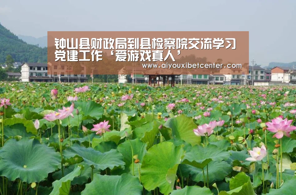 钟山县财政局到县检察院交流学习党建工作‘爱游戏真人’